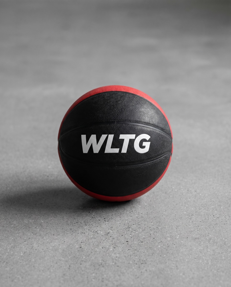 Weighted Trainer Ball